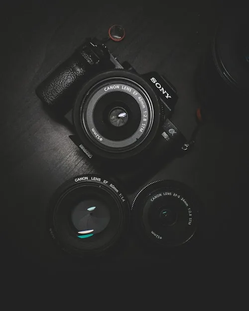 Photography Blog - 蜂鸟电竞